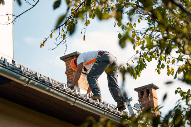 Emergency Roof Repair in Greenville, MI