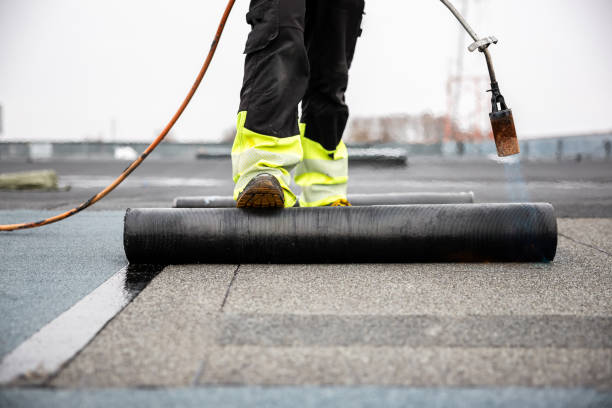 Best Metal Roofing Installation  in Greenville, MI