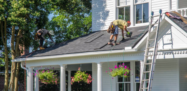 Best Roof Insulation Installation  in Greenville, MI